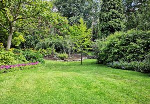 Optimiser l'expérience du jardin à Bazoches-sur-Vesles